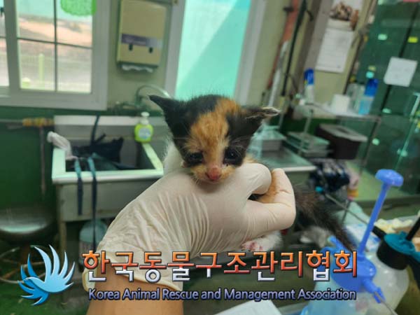 종료(자연사) 한국…